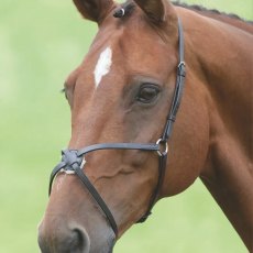 Gara Mexican Noseband  