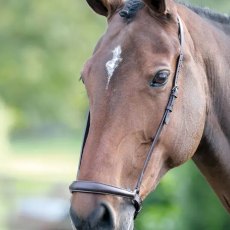 Gara Drop Noseband  