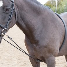 Shires Soft Lunge Aid