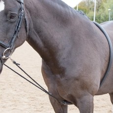 Shires Soft Lunge Aid Shires Soft Lunge Aid