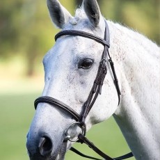 Avignon Padded Raised Caveson Bridle   Avignon Padded Raised Caveson Bridle