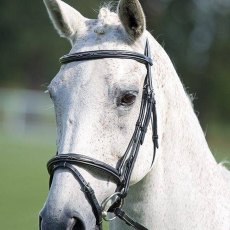 Avignon Padded Raised Flash Bridle  