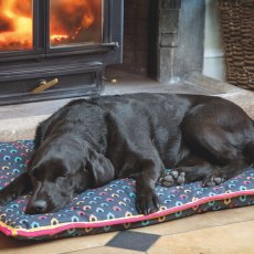 Shires Digby and Fox Waterproof Dog Bed