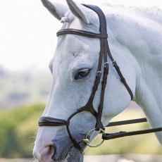 Velociti Rapida Rolled Padded Cavesson Bridle 