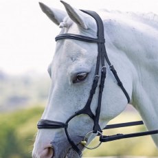 Velociti Rapida Rolled Padded Cavesson Bridle 