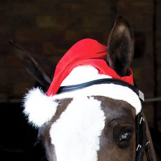 Equetech Santa Horse Hat