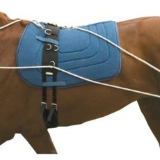 Kincade Lunging Training System Kincade Lunging Training System