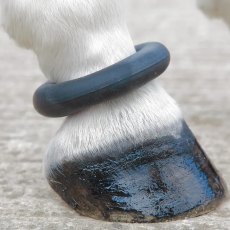 Shires Fetlock Ring