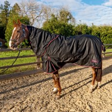 Whitaker Witton 200g Combo Turnout Rug