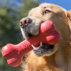 KONG Goodie Bone KONG Goodie Bone