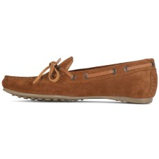 Shires Moretta Sofia Moccasins  Shires Moretta Sofia Moccasins