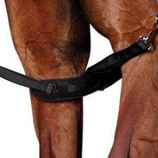 Weatherbeeta Padded Leg Straps