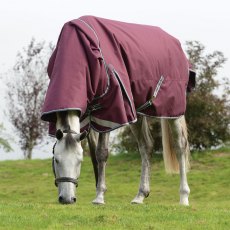 WeatherBeeta ComFiTec Plus Dynamic II Detach a Neck Heavy Turnout Rug