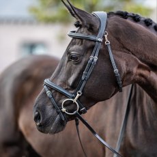 LeMieux Kudos Work Bridle 