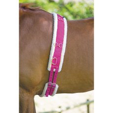 Shires Nylon Lunge Roller with Fleece Padding  Shires Nylon Lunge Roller with Fleece Padding
