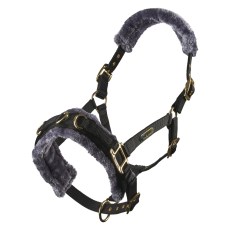 Arma Fleece Lined Lunge Cavesson