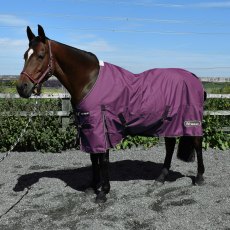 Whitaker Thistle 100g Turnout Rug