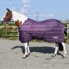 Whitaker Thistle 200g Stable Rug