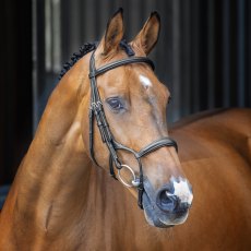 Velociti Lusso Rolled Padded Cavesson Bridle 
