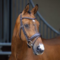 Velociti Lusso Dressage Flash Bridle 