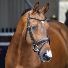 Velociti Lusso Dressage Flash Bridle 