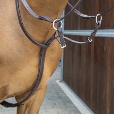 Velociti Lusso Running Martingale  Velociti Lusso Running Martingale