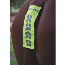 Shires EQUIFLECTOR Tail Strap Shires EQUIFLECTOR Tail Strap