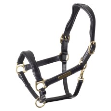 Velociti Rapida Cushioned Leather Headcollar