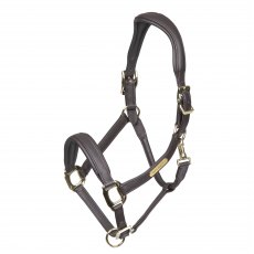 Velociti Rapida Comfort Leather Headcollar