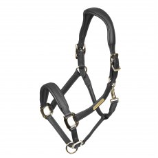 Velociti Rapida Comfort Leather Headcollar