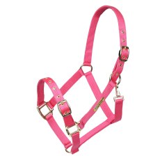 Arma Adjustable Headcollar Arma Adjustable Headcollar