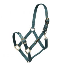 Arma Adjustable Headcollar Arma Adjustable Headcollar