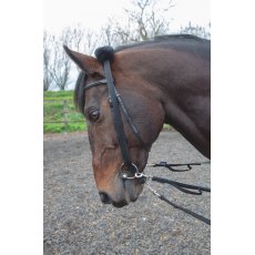 Shires Lunging Adapter