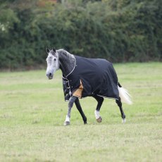 Shires Highlander Plus 200 Turnout Rug Black  Shires Highlander Plus 200 Turnout Rug Black