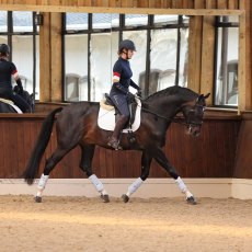 Aubrion Team Long Sleeve Baselayer Navy 
