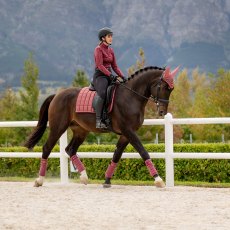 LeMieux Loire Classic Dressage Square Orchid