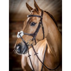 LeMieux Kudos Grackle Bridle