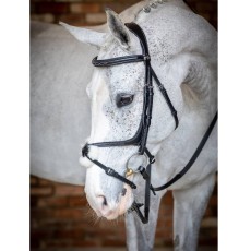 LeMieux Kudos Grackle Bridle LeMieux Kudos Grackle Bridle