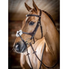 LeMieux Kudos Grackle Bridle LeMieux Kudos Grackle Bridle