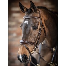 LeMieux Kudos Competition Flash Bridle