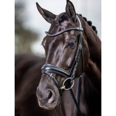 LeMieux Kudos Classic Dressage Bridle