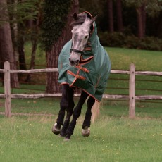 WeatherBeeta ComFiTec Tyro Combo Lite Plus Green Turnout Rug WeatherBeeta ComFiTec Tyro Combo Lite Plus Green Turnout Rug