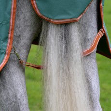 WeatherBeeta ComFiTec Tyro Combo Lite Plus Green Turnout Rug WeatherBeeta ComFiTec Tyro Combo Lite Plus Green Turnout Rug