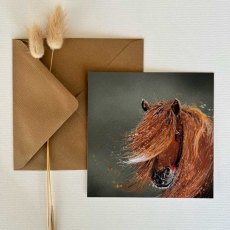 Alex Clark Horse Blank Card