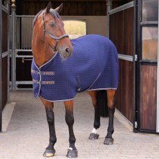 Shires Tempest Original Tech Cooler Rug Ink 