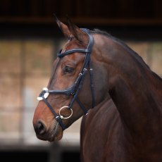 Velociti Lusso Elite Grackle Bridle  Velociti Lusso Elite Grackle Bridle
