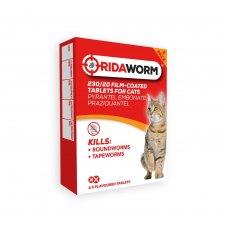 Chanelle Ridaworm Cat Tablets - 2 Tablets