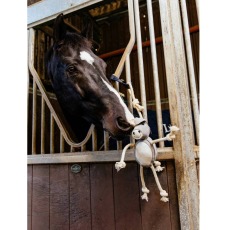 LeMieux Horse Toy Donkey LeMieux Horse Toy Donkey
