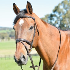 Kincade Classic Plain Raised Flash Bridle with Reins Kincade Classic Plain Raised Flash Bridle with Reins