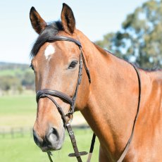 Kincade Classic Plain Raised Flash Bridle with Reins